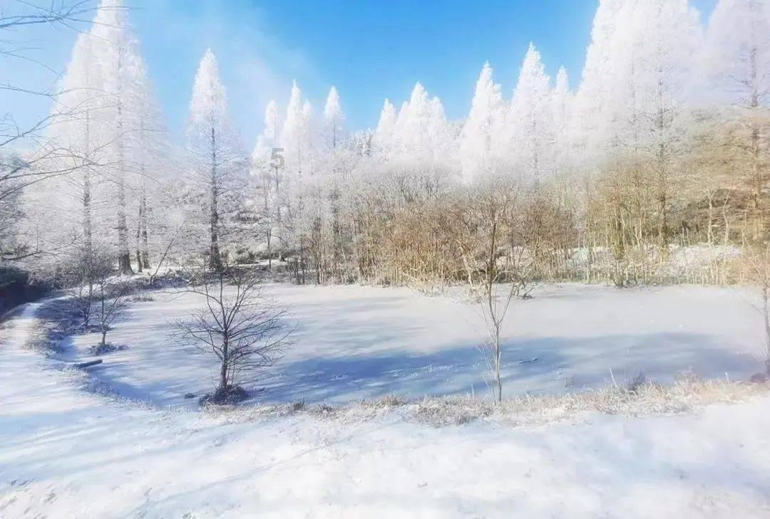 探索知识,尽在问答交流平台生姜和干姜的区别是什么?