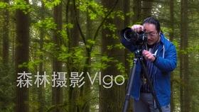 精灵灯塔逃生
