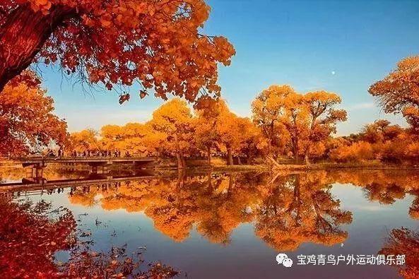 绿能大合与重庆易易签署合作协议,超充大合联盟进入落地加速期