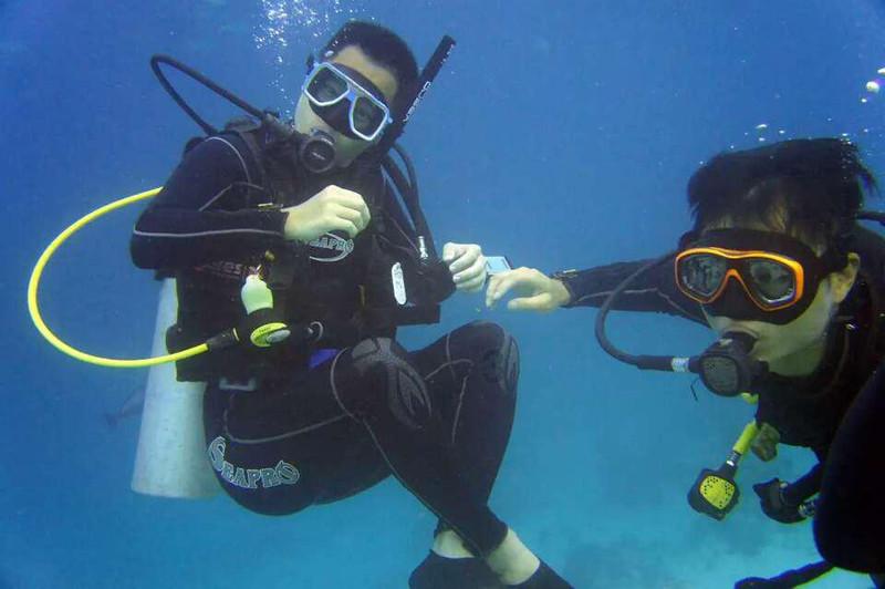 海绵宝宝寻珍宝
