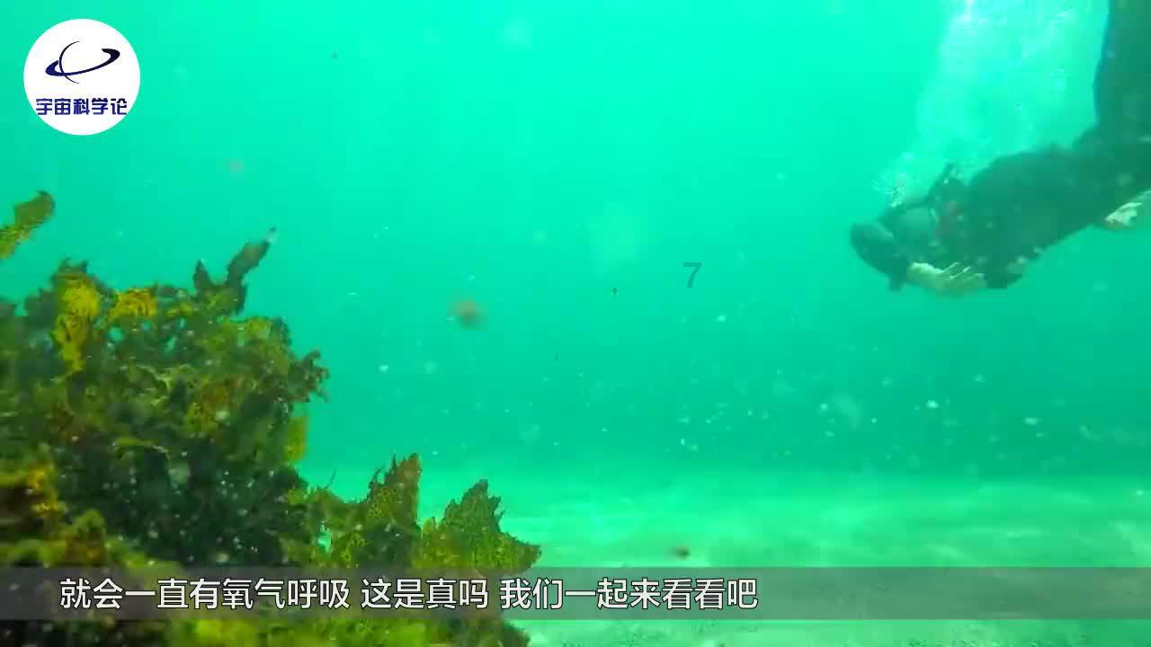英媒关注孙继海：退役后的他现净资产超过1.8亿