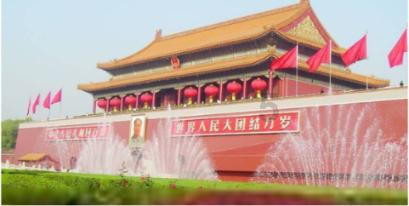 寻找萌小老虎