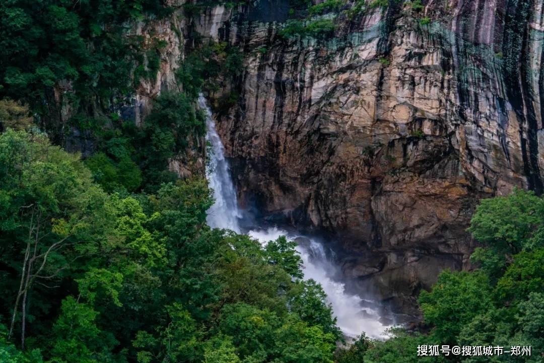 胡萝卜鸡蛋饺子馅的做法游戏画面
