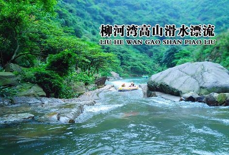 100天学霸养成