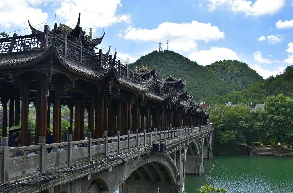 动物家园守卫战