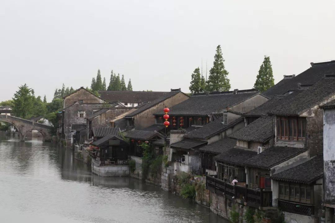 中国书法家协会2020年度批准王建成为会员