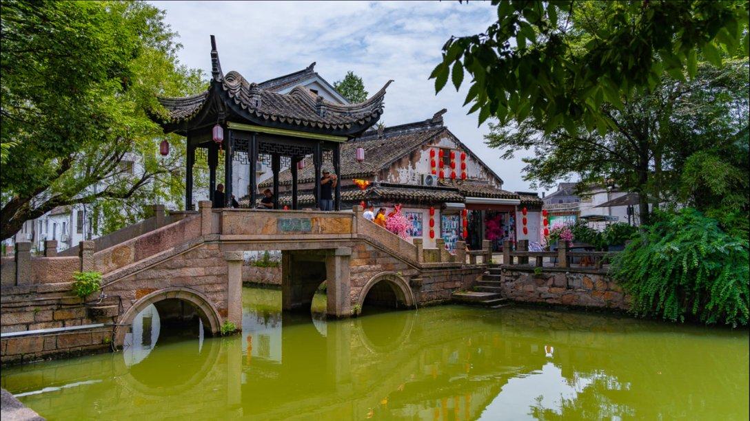 我修的可能是假仙