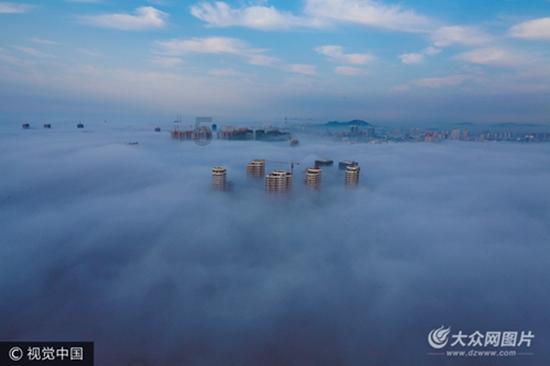 苏州工业园区淞泽社区:感受文化魅力,共筑美好社区